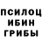 Псилоцибиновые грибы прущие грибы Link Yao