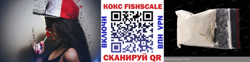 mega как войти  Киселёвск  Кокаин Fish Scale 