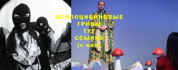 дживик Алексин