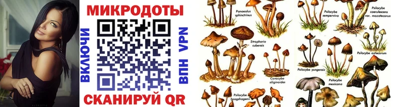 Псилоцибиновые грибы Psilocybine cubensis  сколько стоит  Киселёвск 